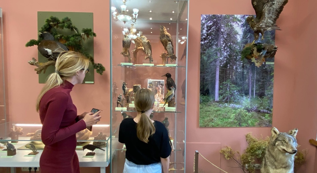 Экскурсия по выставке «Живущие рядом с нами»