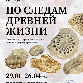 Выставка «По следам древней жизни»