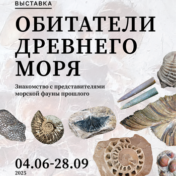 Выставка «Обитатели древнего моря»
