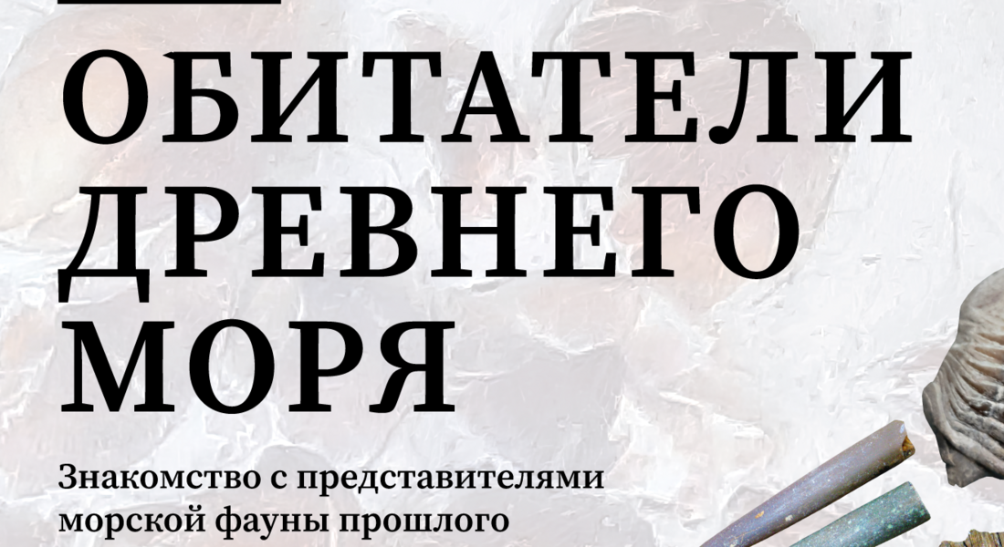 Выставка «Обитатели древнего моря» Выставка «Обитатели древнего моря»