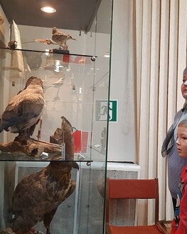 Открытие выставки «Пернатые символы года»