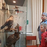 Открытие выставки «Пернатые символы года»