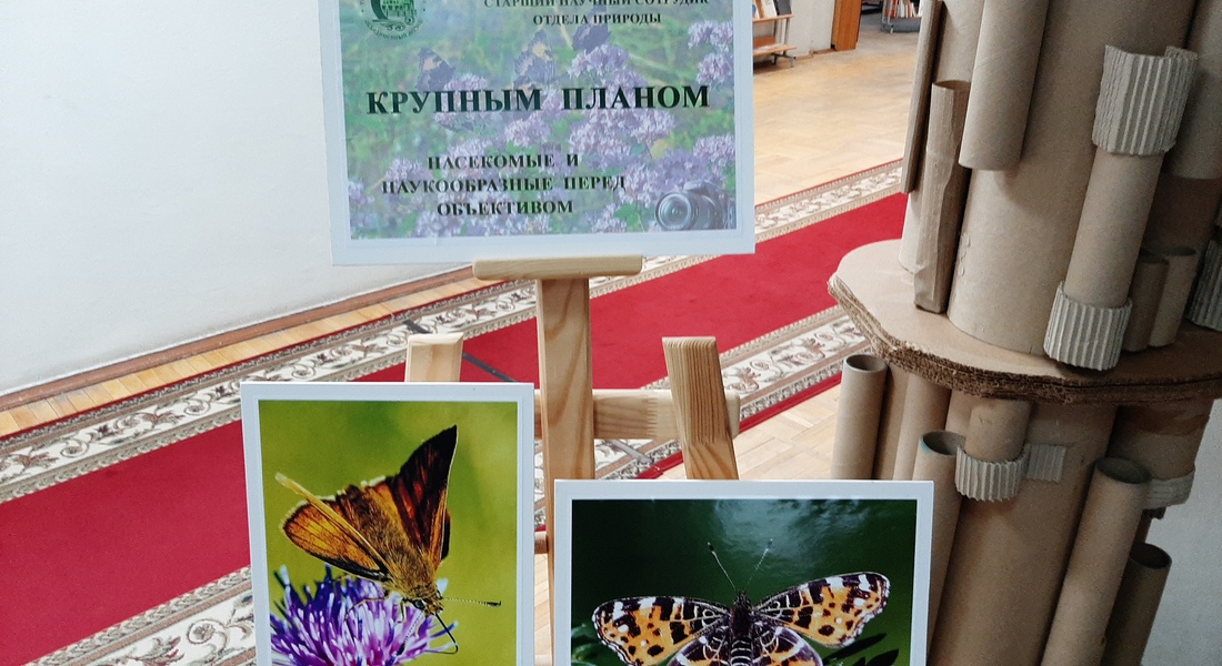 Фотовыставка «Крупным планом» Фотовыставка «Крупным планом»