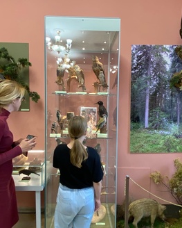 Экскурсия по выставке «Живущие рядом с нами» Экскурсия по выставке «Живущие рядом с нами»