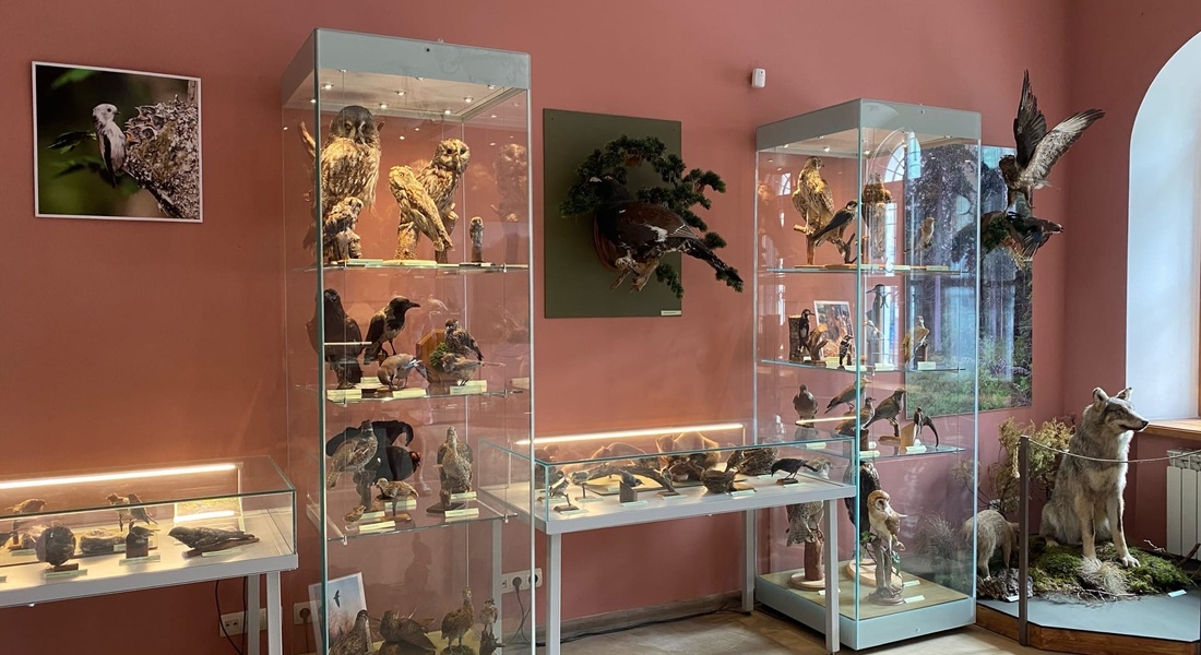 Экскурсия по выставке «Живущие рядом с нами»