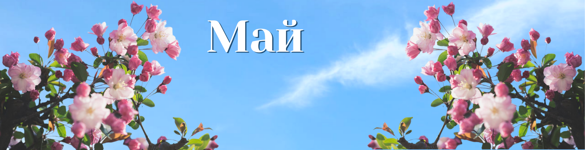 Афиша на май