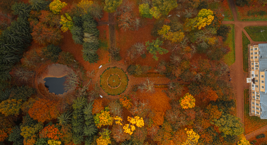 Пушкинские чтения «Традиции усадебной жизни в преломлении исторических реалий» Пушкинские чтения «Традиции усадебной жизни в преломлении исторических реалий»