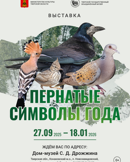 Выставка «Пернатые символы года»