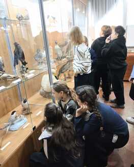 Пернатые соседи