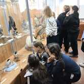 Пернатые соседи