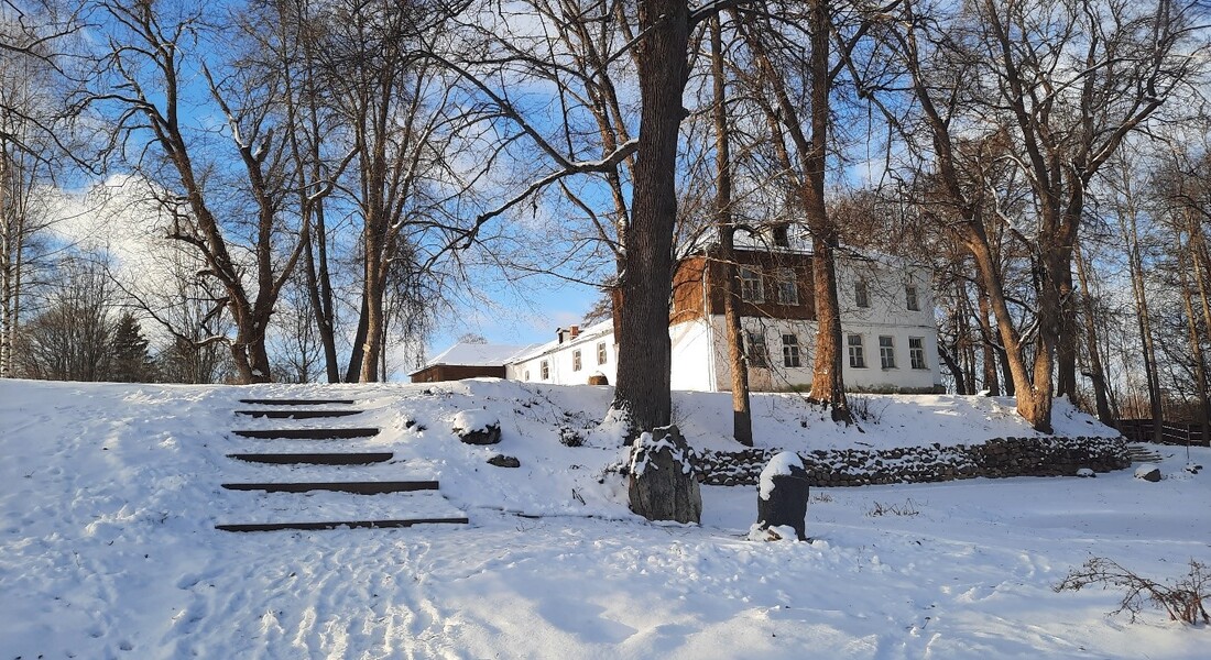 Зимние прогулки в «Василёво»