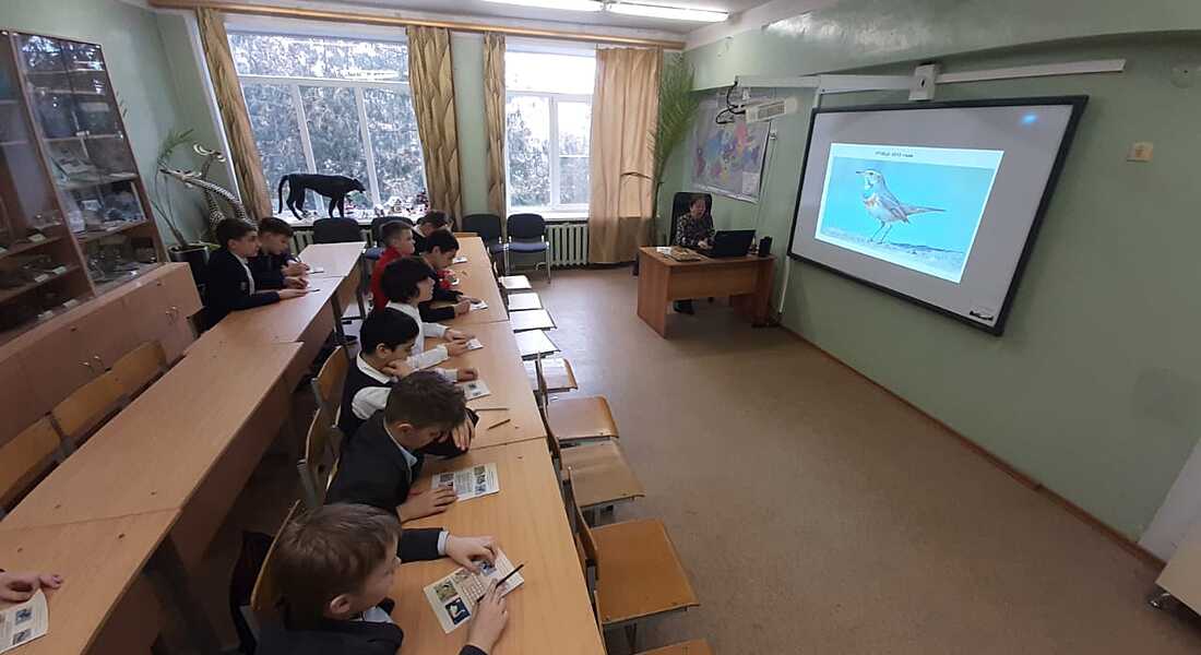 Сотрудники отдела природы Тверского государственного объединённого музея провели занятие для школьников