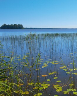 Выставка «Водица, кто тебя не боится» (6+)