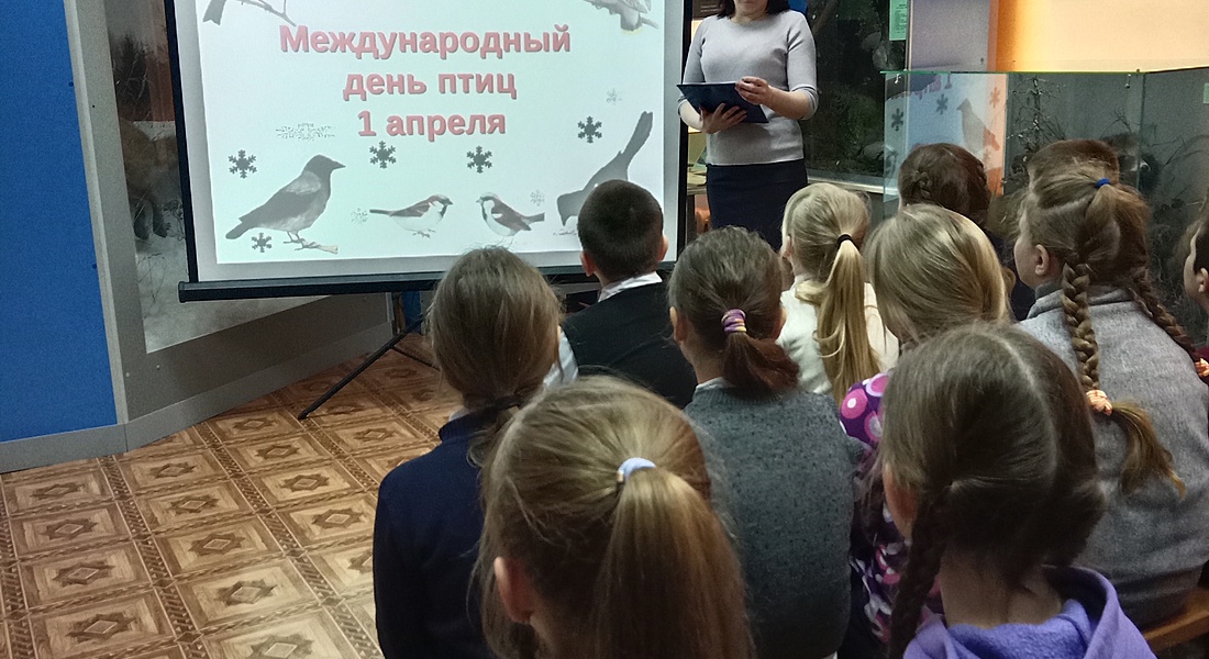 В Краснохолмском краеведческом музее прошло мероприятие, посвящённое Международному дню птиц