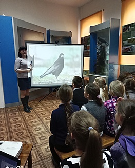 В Краснохолмском краеведческом музее прошло мероприятие, посвящённое Международному дню птиц
