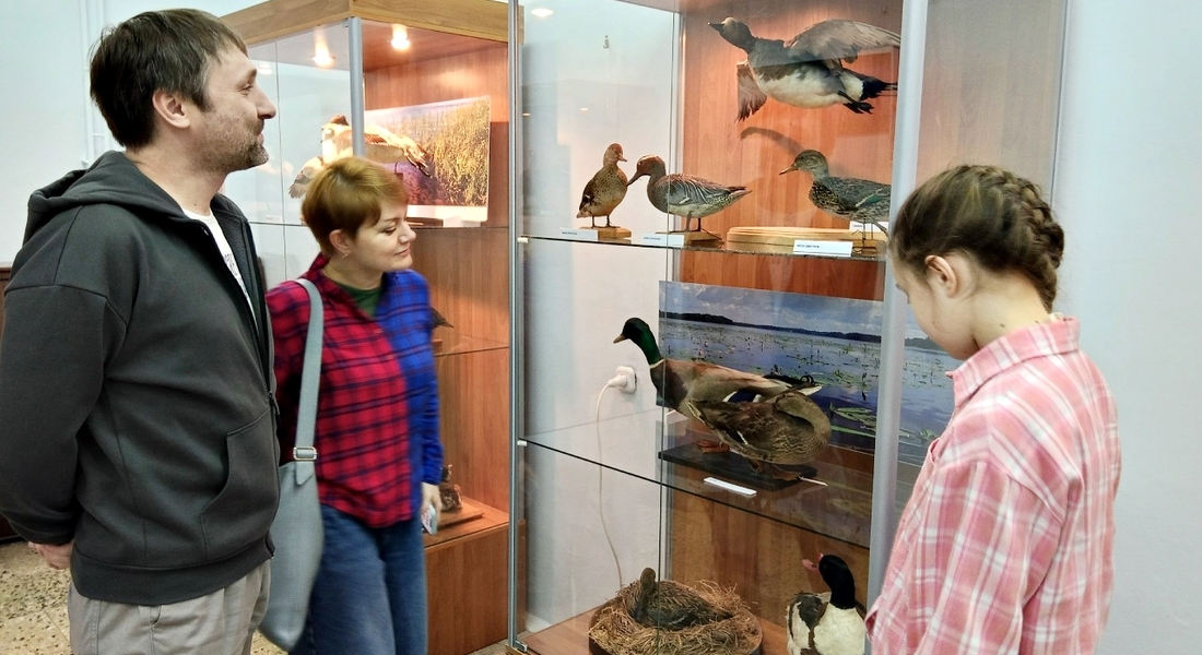 Открытие выставки, подготовленной отделом природы ТГОМ Открытие выставки, подготовленной отделом природы ТГОМ