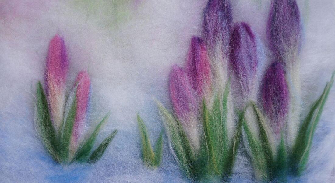 Мастер-класс по рисованию шерстью (формат А5) Мастер-класс по рисованию шерстью (формат А5)