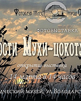 Фотовыставка «Гости мухи Цокотухи» Фотовыставка «Гости мухи Цокотухи»