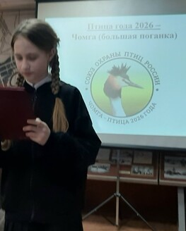 Разговор о чомге: в Бельском краеведческом музее отметили международный день птиц  