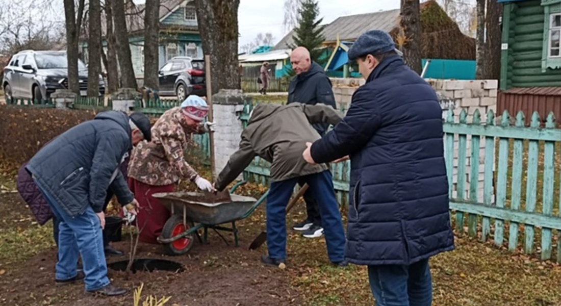 Сирень «Михаил Калинин» Сирень «Михаил Калинин»