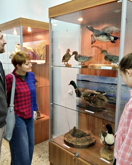 Открытие выставки, подготовленной отделом природы ТГОМ