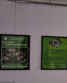 В Весьегонском краеведческом музее им. А. А. Виноградова открылась выставка «Загляни в мир природы!» В Весьегонском краеведческом музее им. А. А. Виноградова открылась выставка «Загляни в мир природы!»