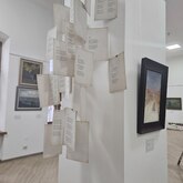 В Тверском краеведческом музее открылась выставка «Пока светло»