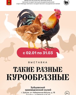 Выставка «Такие разные курообразные» Выставка «Такие разные курообразные»