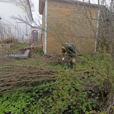 Территорию Осташковского краеведческого музея помогли привести в порядок юнармейцы и будущие вожатые