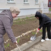 В Старицком краеведческом музее прошел субботник