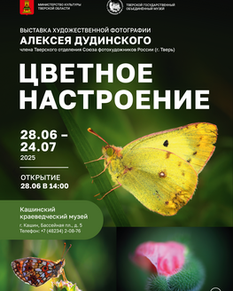 Выставка художественной фотографии «Цветное настроение»