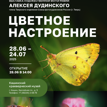 Выставка художественной фотографии «Цветное настроение»