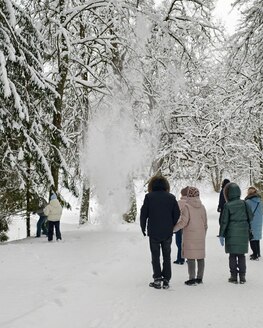 Как проходят сборные экскурсии в «Василёво» Как проходят сборные экскурсии в «Василёво»