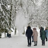 Как проходят сборные экскурсии в «Василёво»