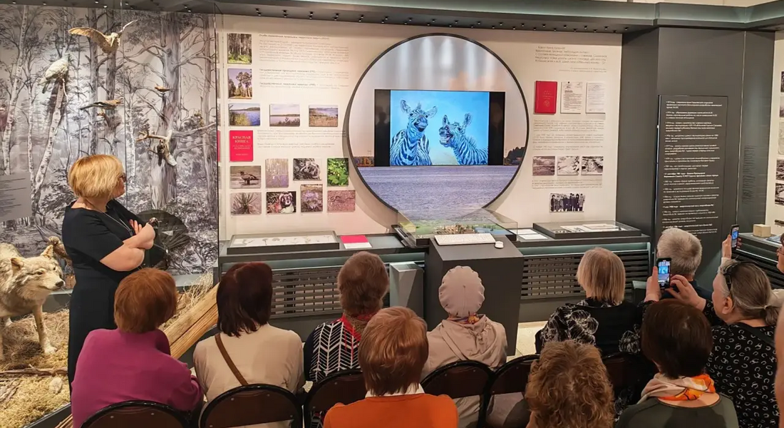 В Удомельском краеведческом музее состоялось открытие художественной выставки «Моя литературщина»