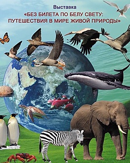 Онлайн-выставка: «Без билета по белу свету: путешествия в мире живой природы» Онлайн-выставка: «Без билета по белу свету: путешествия в мире живой природы»