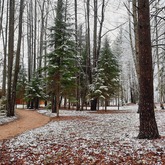 Забота о парке «Василёво»: как музей сохраняет красоту природы зимой