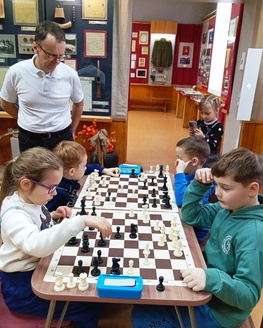 Новогодние встречи в Зубцовском музее: от курообразных до шахматных баталий