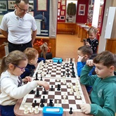 Новогодние встречи в Зубцовском музее: от курообразных до шахматных баталий