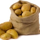 Экологический праздник День картошки