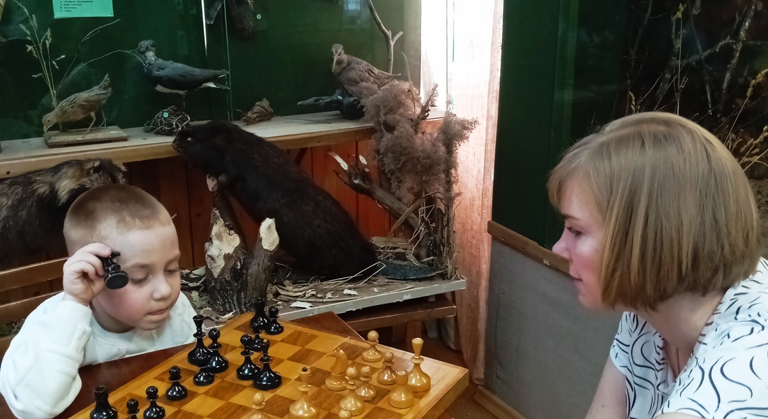 Стратегия, чай и ложки: шахматный турнир в Зубцовском краеведческом музее