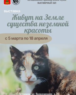 Выставка «Живут на Земле существа неземной красоты» 0+