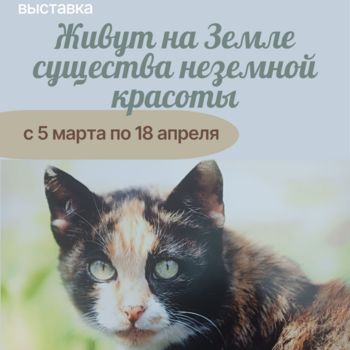 Выставка «Живут на Земле существа неземной красоты» 0+