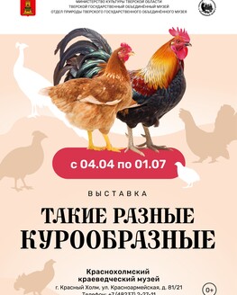 Выставка «Такие разные курообразные» (0+) Выставка «Такие разные курообразные» (0+)