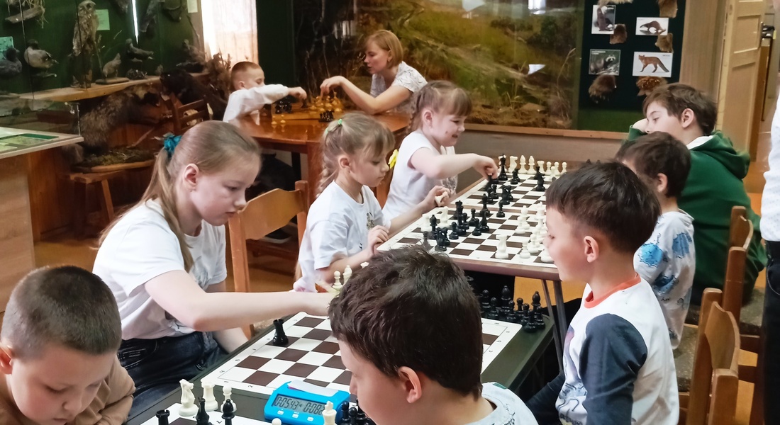 Стратегия, чай и ложки: шахматный турнир в Зубцовском краеведческом музее