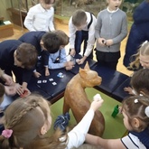 Осташковский краеведческий музей посетили школьники 