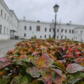 График работы филиалов ГБУК ТГОМ в ноябрьские праздники