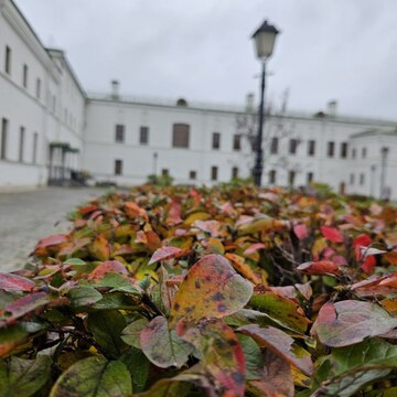 График работы филиалов ГБУК ТГОМ в ноябрьские праздники