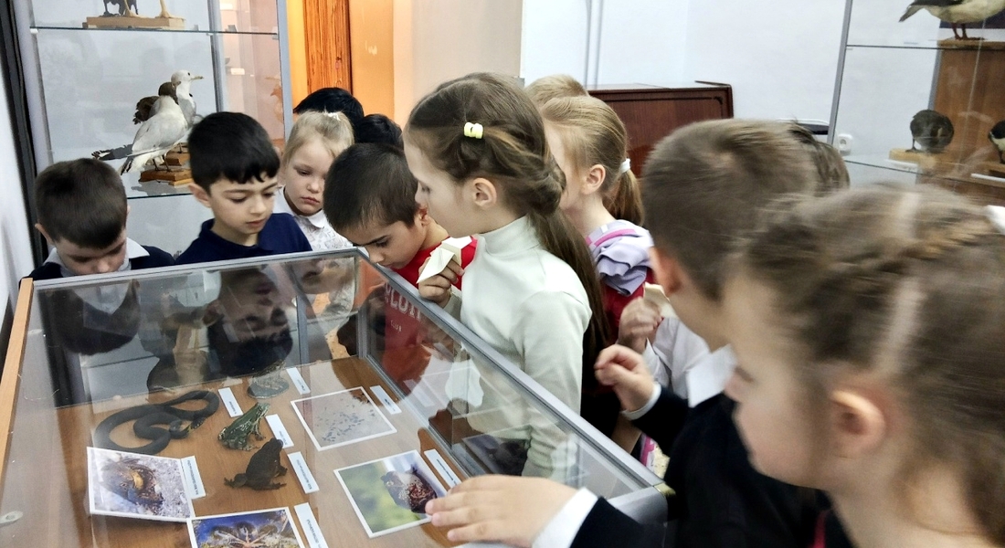 «Знакомые незнакомцы»: в Конаковском краеведческом музее прошло мероприятие для школьников, посвященное Международному дню птиц.