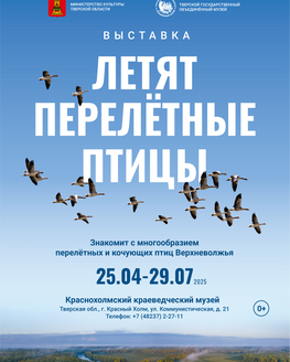 Выставка «Летят перелетные птицы»